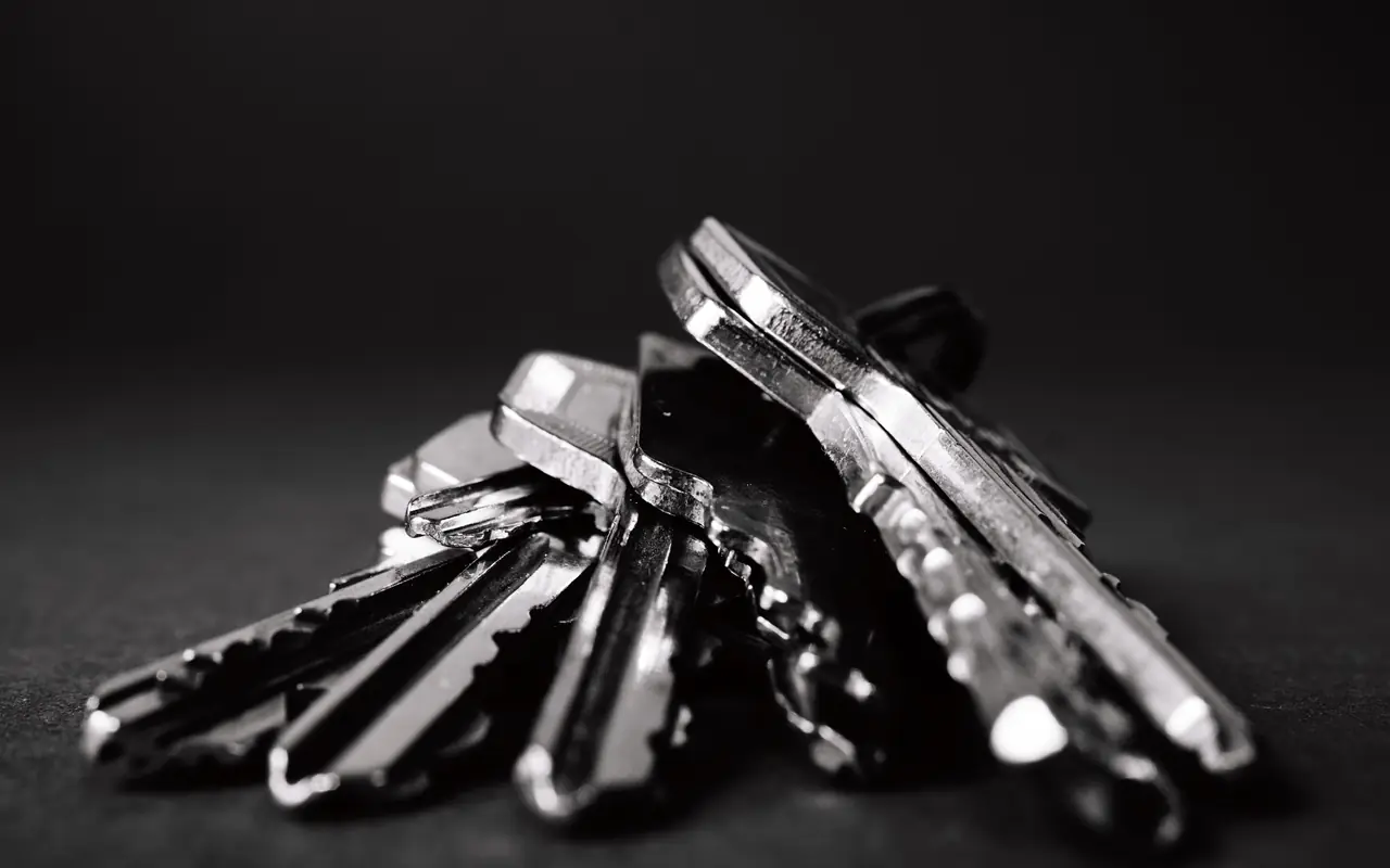 Black-and-white close-up of a bunch of metal keys on a dark surface